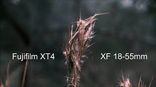 Fujifilm XT4 with XF 1855mm Classic Neg Film Simulation Hand Held IBIS test  Cinematic Video [upl. by Cyrano]