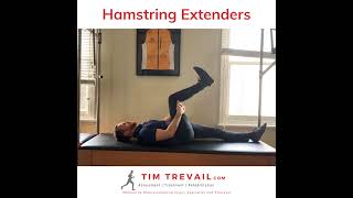 Hamstring Extenders  part of the Askling LProtocol [upl. by Norrahs]