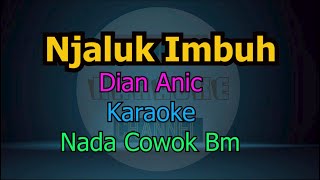 NJALUK IMBUH DIAN ANIC KARAOKE NADA COWOK [upl. by Narahs]