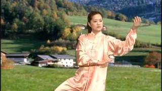 YangStyle 48 Form Tai Chi Chuan [upl. by Aillicec505]