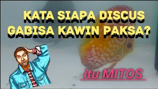 10 jenis Nama ikan KAKAP [upl. by Hsoj]