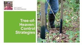 TreeofHeaven Control Strategies [upl. by Latnahs]