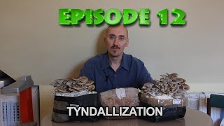 Epizóda 12  Tyndalizácia Tyndallization [upl. by Stanfield]