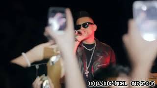 Sean Paul ft DJMiguelCR506  Punkie VideoRemix Oficial [upl. by Nauq609]