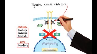 Pharmacology  CANCER DRUGS – CELL CYCLE INHIBITORS MADE EASY [upl. by Bledsoe]