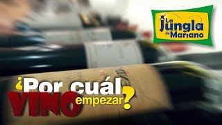 ¿Por cuál vino empezar [upl. by Isola]