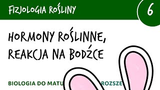 Hormony roślinne reakcje roślin na bodźce  Fizjologia roślin 6  matura z biologii rozszerzona [upl. by Abana]