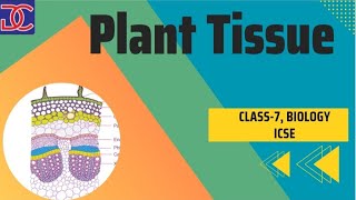 Class7 Biology ICSE Plant Tissue full chapter in one shot [upl. by Ereveneug]