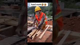 engineers are in danger🤣🤣 funny funnyscenes comedy funscenes comedymovies memes comedyscenes [upl. by Lotson]