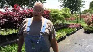 Weed Control for Plants in ContainersMondays Wtih Mike June 2 2014 [upl. by Nerahs328]