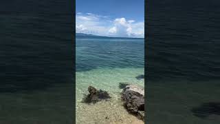 🏝️🐠⛰️ Ticao Island travel shortsvideo [upl. by Nottage72]