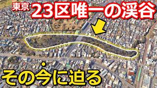 【なぜ】東京23区唯一の渓谷 その成り立ちと貴重な光景 通れない場所がある理由とは｜等々力渓谷【Takagi Travel】 [upl. by Glimp605]