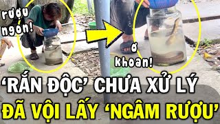 Liều mạng ngâm rượu bằng RẮN SỐNG thanh niên tự TÌM CHẾT khiến CĐM sởn gai ốc  Tin Việt 2 Phút [upl. by Acnaib929]