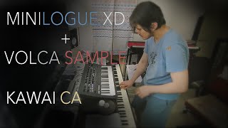 Minilogue XD amp Volca Sample duo Test 4 Synthesizer practice [upl. by Gaskill371]