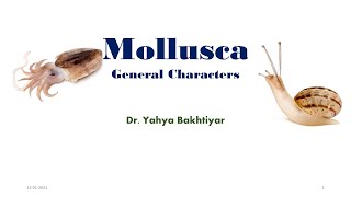 18 General Characters of Mollusca Characteristic Features of Mollusca  What are molluscs [upl. by Anihta]