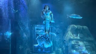 SEA LIFE Orlando Aquarium with a mermaid dive [upl. by Anitsirt]