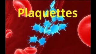 Plaquettes sanguines thrombocytes [upl. by Acnaib]