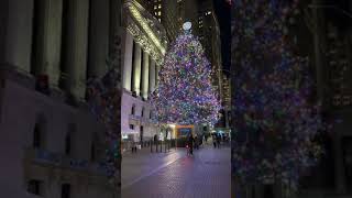 Wall Street Christmas Tree 🎄 [upl. by Ariada79]