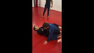 Brazilian Jiu Jitsu Gi Technique of the Week [upl. by Eecal]