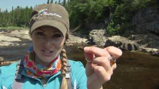 Atlantic Salmon at Tuckamore Lodge  Newfoundland [upl. by Aniat]