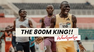 Emmanuel Wanyonyi Unstoppable King of the 800m Race [upl. by Reinaldos]