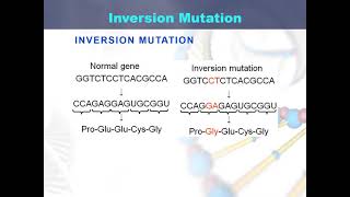 Inversion mutation [upl. by Madge]