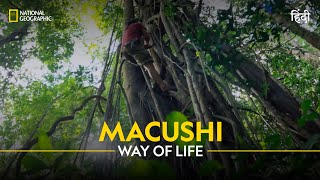 Macushi Way of Life  Primal Survivor  हिन्दी  Full Episode  S4  E1  National Geographic [upl. by Ydak]