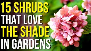 15 Shrubs That Love The Shade  Shrubs That Grow In Shade [upl. by Zachary]