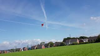 Crane 2 line stunt kite from aldi [upl. by Kooima]