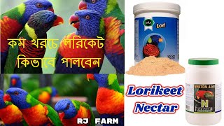 কম খরচে লরিকেট কিভাবে পালবেন। কি খাবার দিবেন। lorikeet bird food Lorikeet Parrot [upl. by Talley]