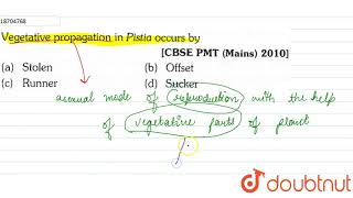 Vegetative propagation in Pistia occurs by [upl. by Trebled]