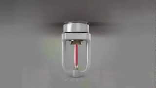 Fire Sprinkler Animation [upl. by Luo96]