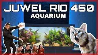 Juwel rio 450 Aquarium Die Pflege Erklärt [upl. by Krystin631]