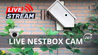 Nestbox Livestream Barendrecht The Netherlands [upl. by Ingeborg]