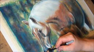 Fast drawing  Haflinger stallion Natan in soft pastels [upl. by Stelmach]