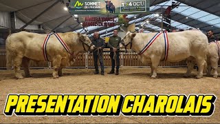 PRESENTATION CHAROLAIS [upl. by Stanwin]