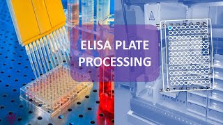 ELISA TEST PLATE PROCESSING [upl. by Naivat647]