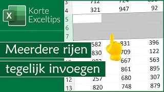 Meerdere rijen tegelijk invoegen [upl. by Winton868]