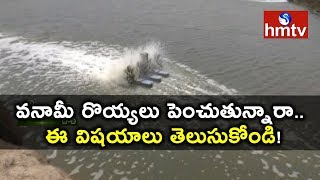 Vannamei Prawn Farming Techniques  Mahabubabad Farmer Success Story  Nela Talli  hmtv News [upl. by Dominy]