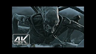 Alien Covenant 2 Fragman reaksiyon [upl. by Hoag]