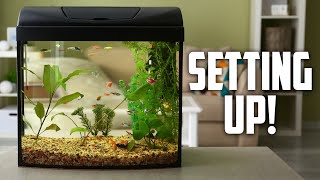 How to Set up Your First Fish Tank  Aquarium CoOp [upl. by Kathlin]