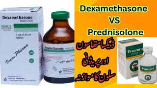 Dexamethasone Vs Prednisolone in Veterinary  Difference between Dexamethasone and Prednisolone [upl. by Bab51]