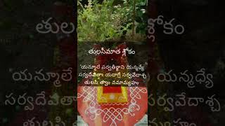 Tulasi maata slokambakthi hinduprayer ytshort subscribe [upl. by Enajharas]