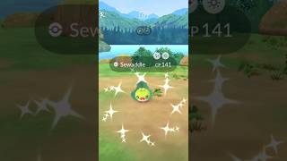 Shiny Sewaddle Pokemon GO [upl. by Bonne573]