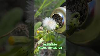 Parkside vs Dandelion Parkside PHLGA 20Li C2 Hot air gun [upl. by Aneekal]