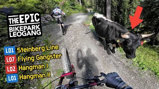 BIKEPARK LEOGANG 2023 alle leichten MTB Strecken  Steinberg Line Hangman 1 amp 2 Flying Gangster [upl. by Garretson]