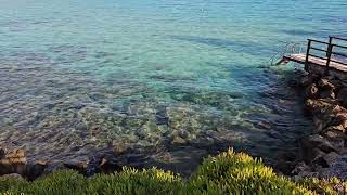 Protaras Fig Tree Bay [upl. by Eduj]