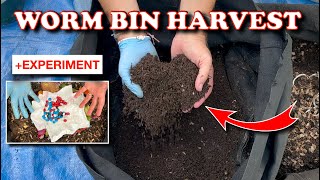 Harvest Every Time You Feed  Vermicompost Worm Farm [upl. by Affer]