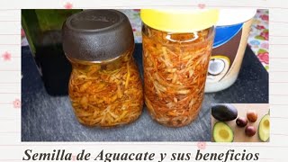 Semilla de Aguacate 🥑 y sus Beneficios para el Cuidado del Cabello [upl. by Nnorahs]