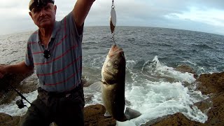 Shore Rock Fishing  Early Morning Spinning for Bass and Mackerel  Seal Problem [upl. by Noval]